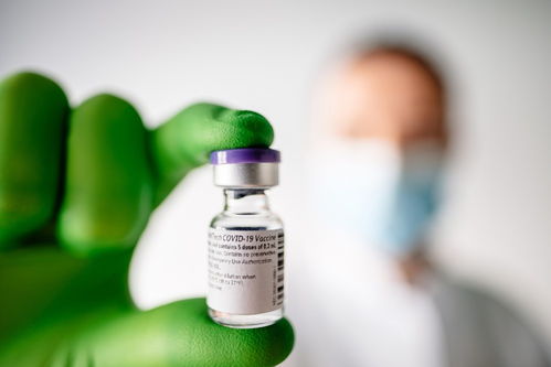 法國藥企與輝瑞合作加速新冠疫苗分裝交付，推動生物技術研發新進展