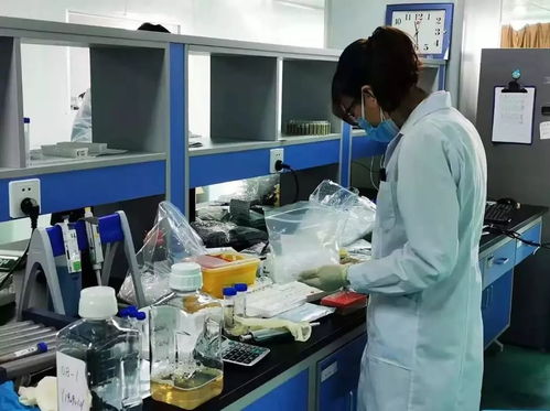 聚青力戰(zhàn)疫情 天津青年技術(shù)推廣行動紀實